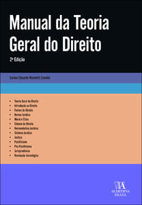 Manual da teoria geral do direito