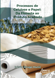 Processos de Celulose e Papel: Da Floresta ao Produto Acabado