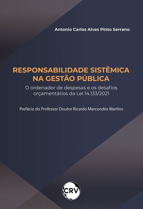 Responsabilidade sistêmica na gestão pública