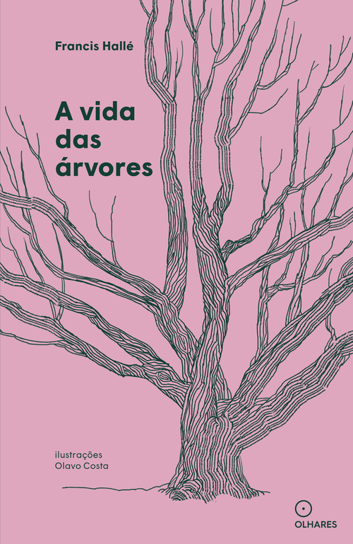 A vida das árvores