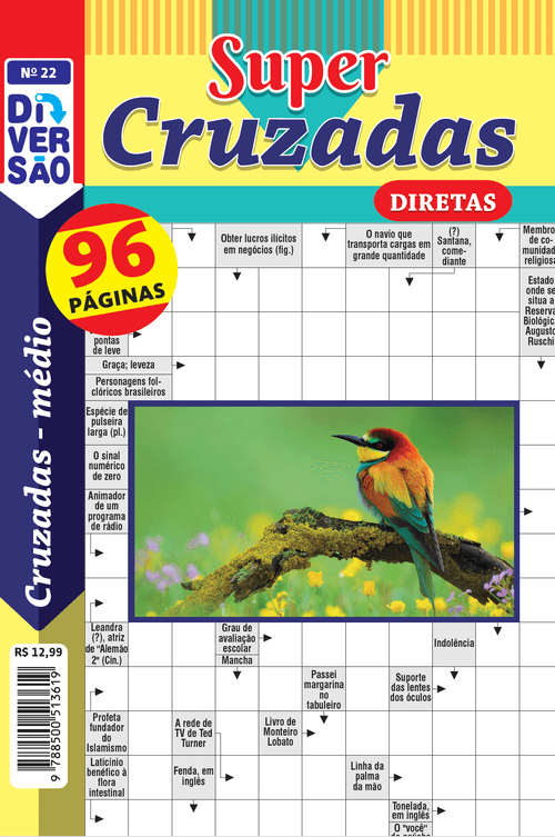 Livro Diversão Super Cruzadas Diretas 22