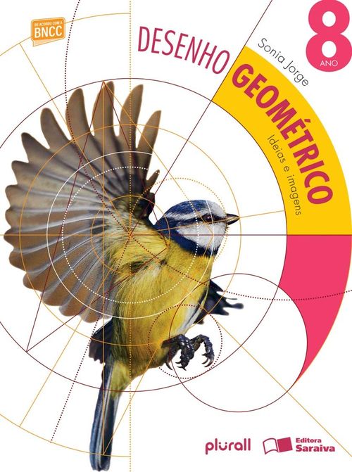 Desenho Geométrico 8º ano