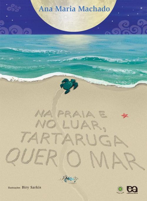 Na praia e no luar, tartaruga quer o mar