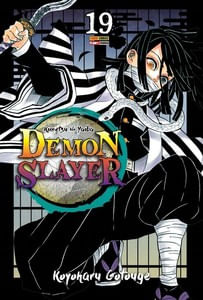 Demon slayer - kimetsu no yaiba vol. 19