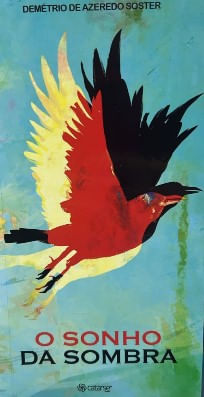 O SONHO DA SOMBRA