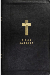 Bíblia Com Mapas Mentais - NVI - Letra Gigante - Preto